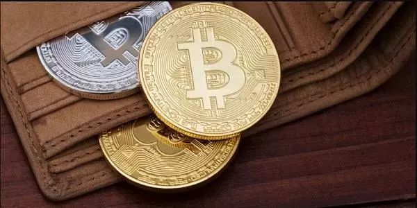 社区反馈称，加密钱包市场行情持续升温的简单介绍